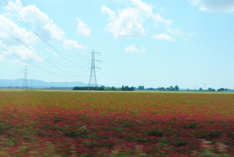 Первый раз в Европе, бюджетно, Чехия-Италия-Австрия, с детьми