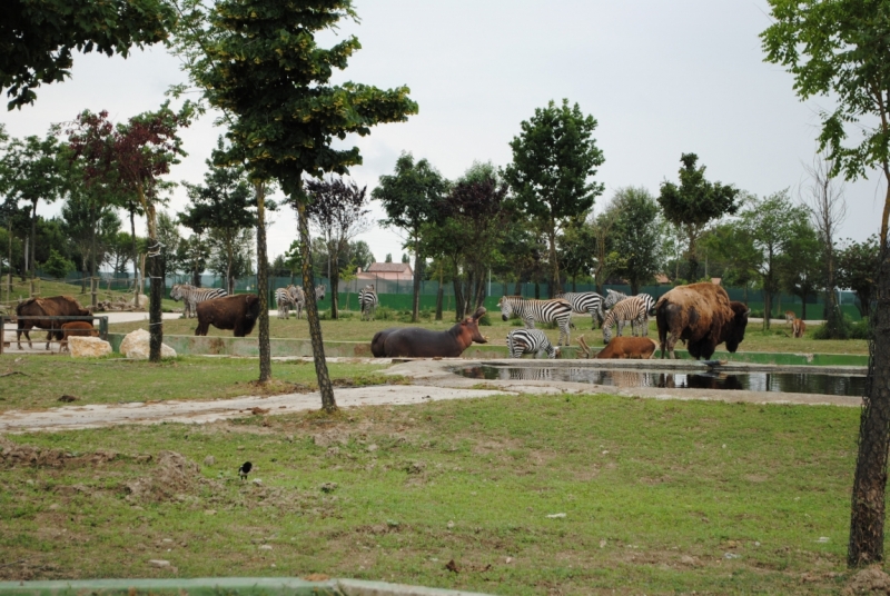 Первый раз в Европе, бюджетно, Чехия-Италия-Австрия, с детьми