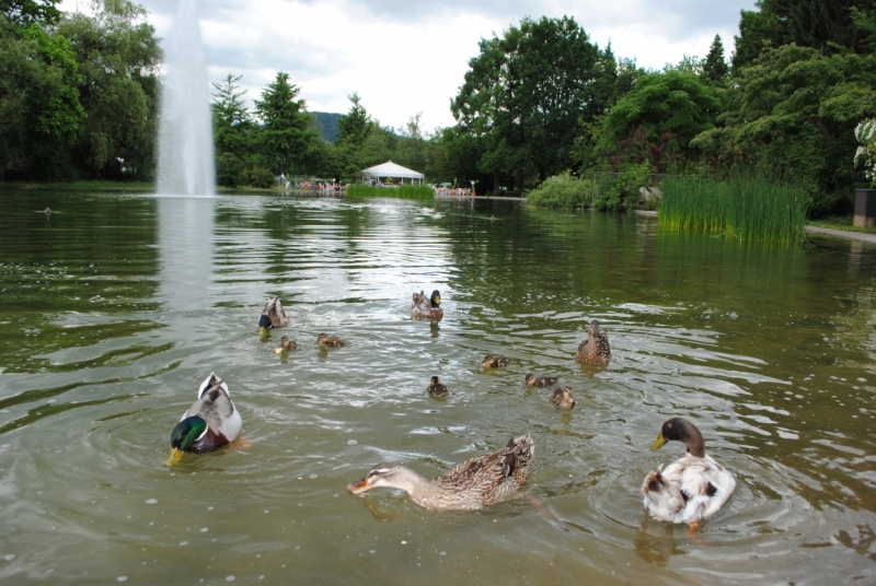 Первый раз в Европе, бюджетно, Чехия-Италия-Австрия, с детьми