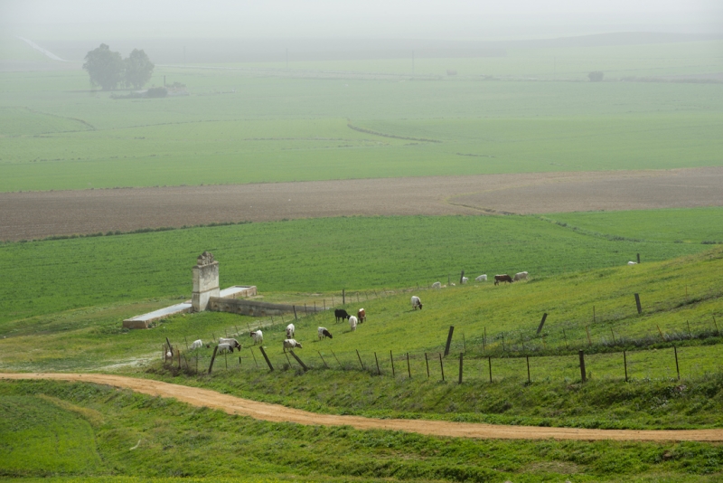 Севилья-Кармона