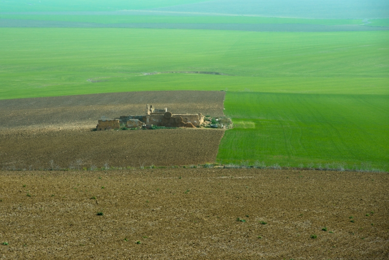 Севилья-Кармона