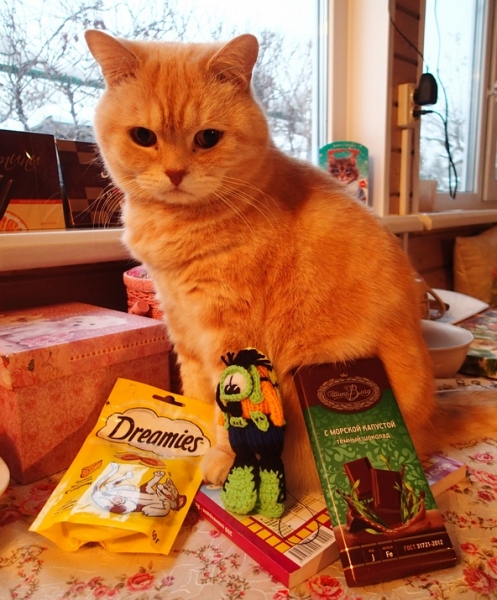 Поговорим о кошках 42