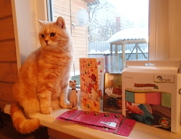 Поговорим о кошках 42