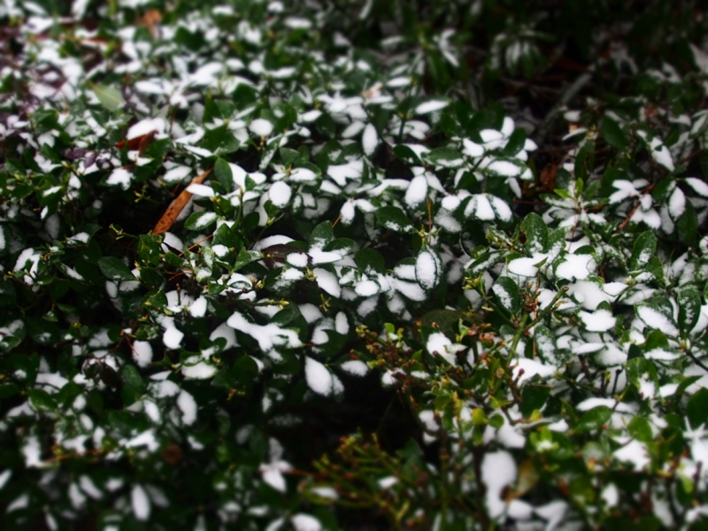 Галопом по Китаю. Гуанчжоу-Гулинь-Яншо-Гуйлинь-Чжандзанце-Гуанчжоу за 8 дней.