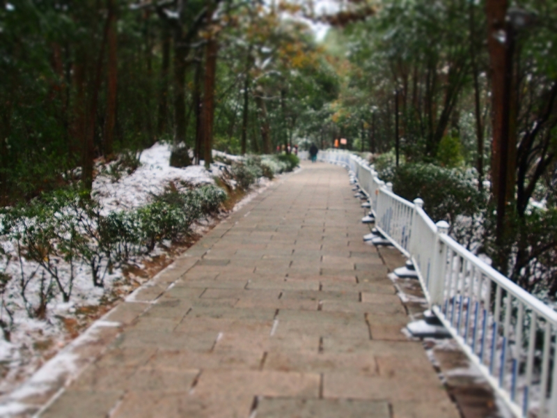 Галопом по Китаю. Гуанчжоу-Гулинь-Яншо-Гуйлинь-Чжандзанце-Гуанчжоу за 8 дней.