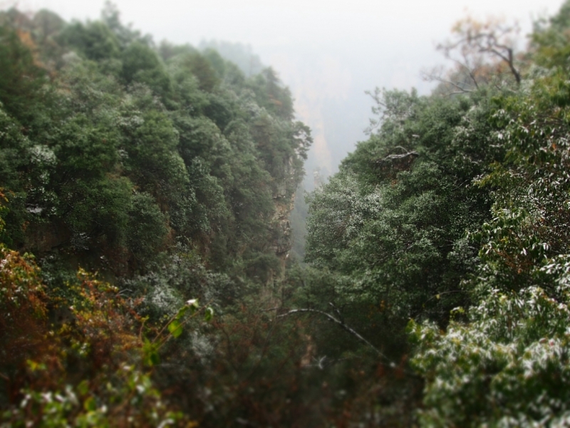 Галопом по Китаю. Гуанчжоу-Гулинь-Яншо-Гуйлинь-Чжандзанце-Гуанчжоу за 8 дней.