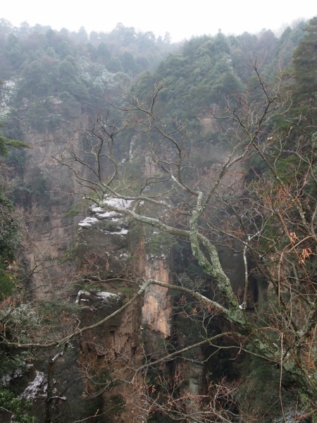 Галопом по Китаю. Гуанчжоу-Гулинь-Яншо-Гуйлинь-Чжандзанце-Гуанчжоу за 8 дней.