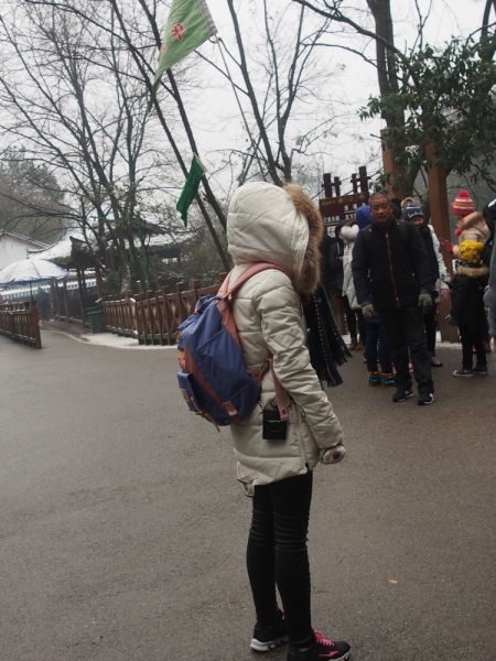 Галопом по Китаю. Гуанчжоу-Гулинь-Яншо-Гуйлинь-Чжандзанце-Гуанчжоу за 8 дней.