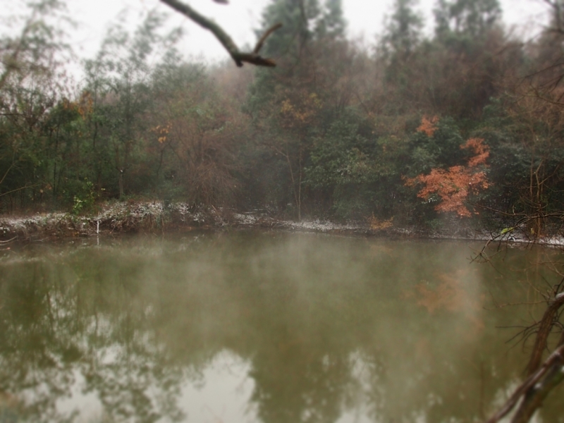 Галопом по Китаю. Гуанчжоу-Гулинь-Яншо-Гуйлинь-Чжандзанце-Гуанчжоу за 8 дней.