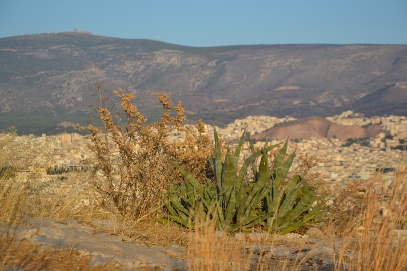 Афины третий раз, плюс окрестности. Немного Метеор.