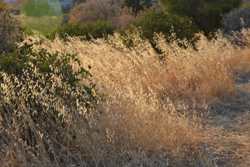 Афины третий раз, плюс окрестности. Немного Метеор.