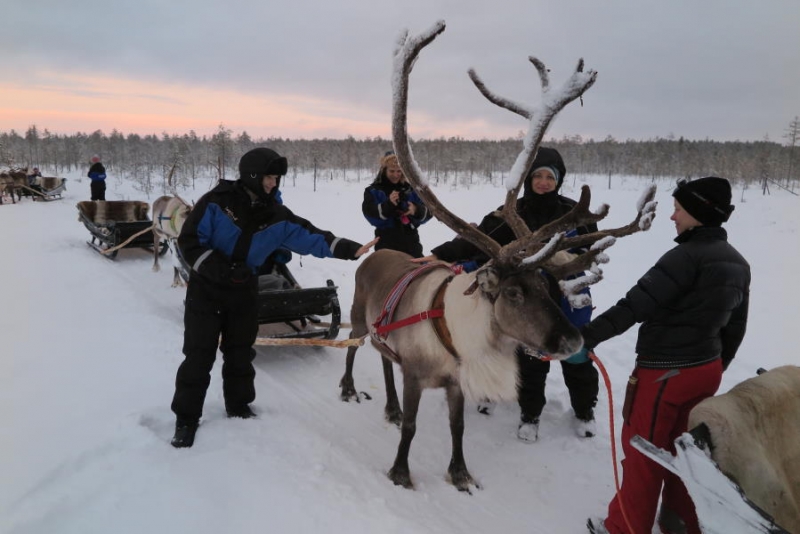 10 дней в Рованиеми и Хельсинки с детьми 23.12.16 - 01.01.17