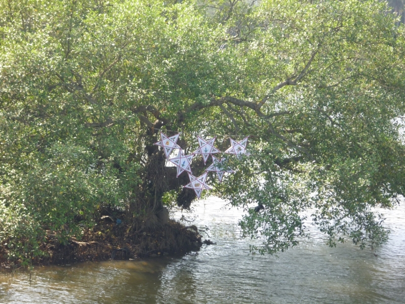 Бабуся, Динамо и излишества всякие нехорошие.