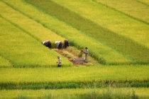 Сапа - Контум - Фукуок