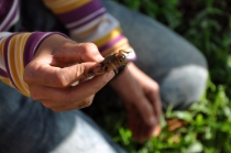 Сапа - Контум - Фукуок