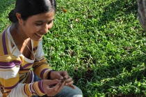 Сапа - Контум - Фукуок