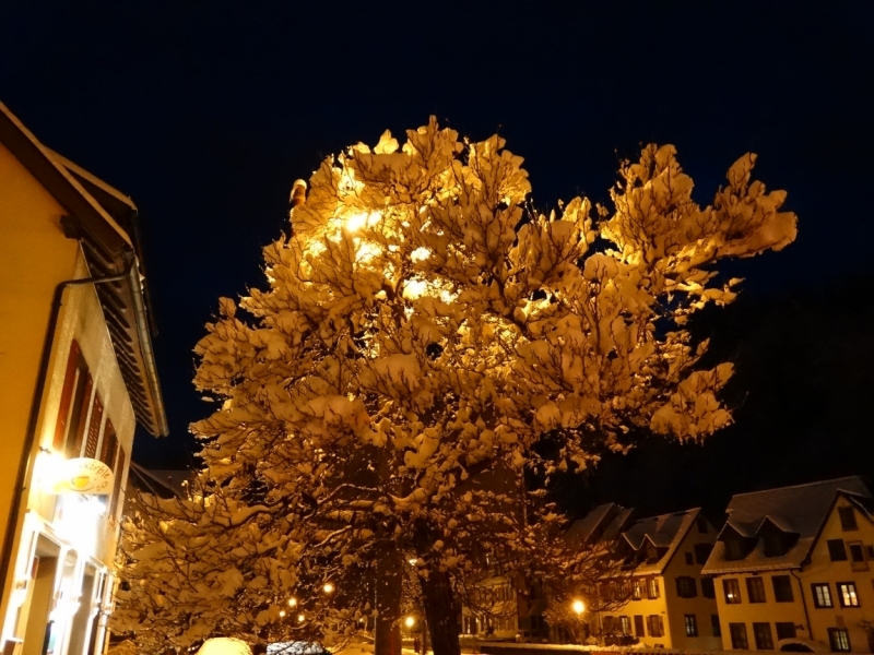 Четыре времени года в Шварцвальде. Зима 2017. Целль-ам-Хармерсбах, Оберхармерсбах, Шильтах.