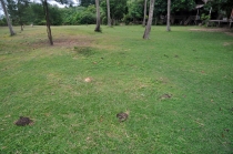 Сапа - Контум - Фукуок