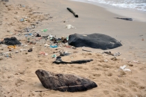 Сапа - Контум - Фукуок