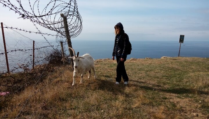 Октябрьский Крым, наш двухнедельный отпуск