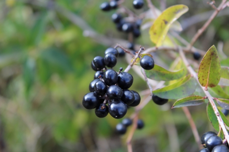 Октябрьский Крым, наш двухнедельный отпуск