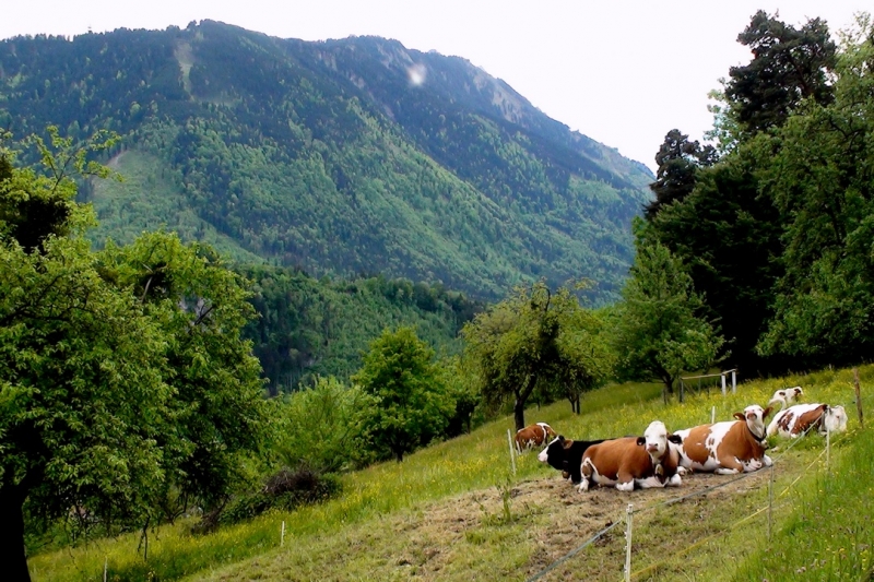 Земля Форарльберг (Bundesland Vorarlberg)