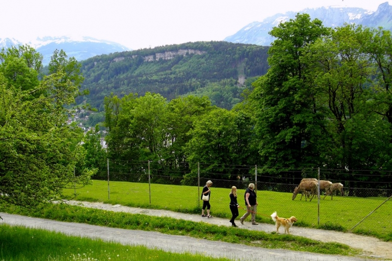 Земля Форарльберг (Bundesland Vorarlberg)