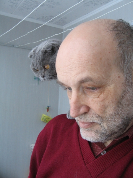 Поговорим о кошках 42