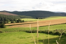 IMG 1000003786