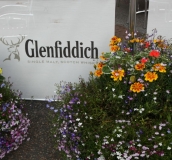 IMG 1000003789