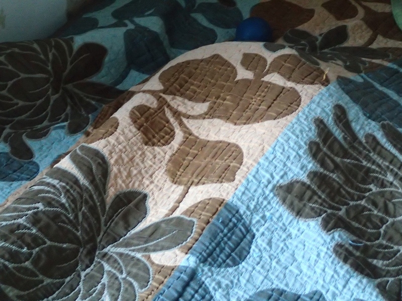 Поговорим о кошках 42