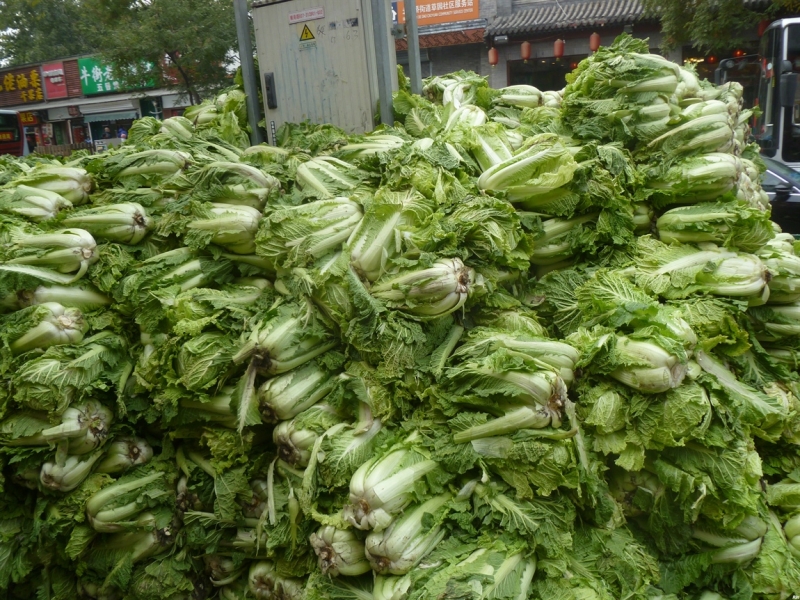 По краешку Китая. Ноябрь 2016