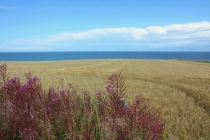 IMG 1000003839