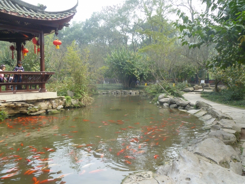 По краешку Китая. Ноябрь 2016