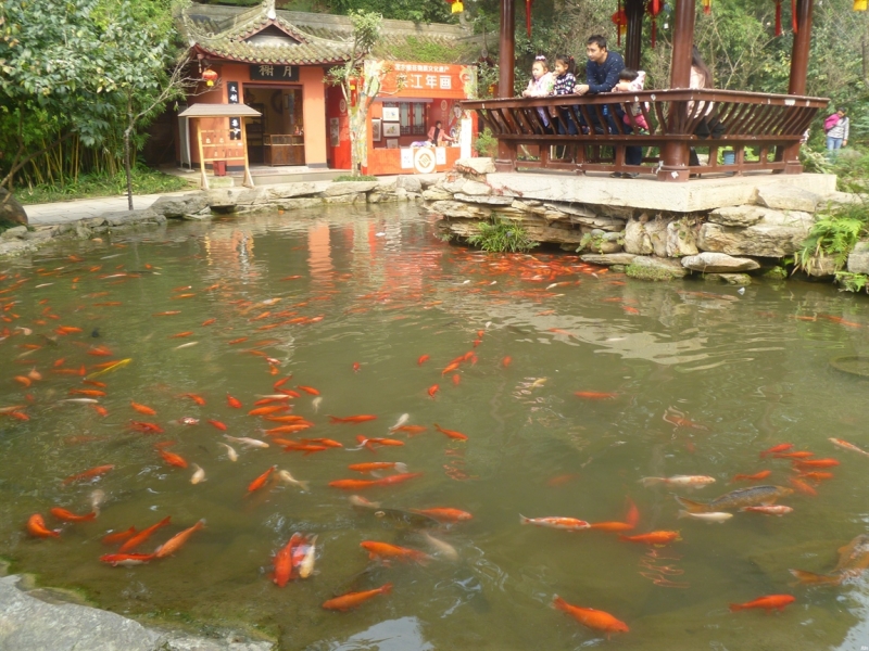 По краешку Китая. Ноябрь 2016