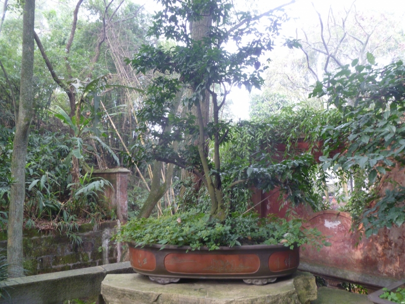 По краешку Китая. Ноябрь 2016