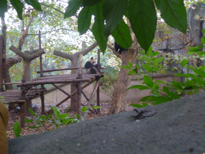 По краешку Китая. Ноябрь 2016