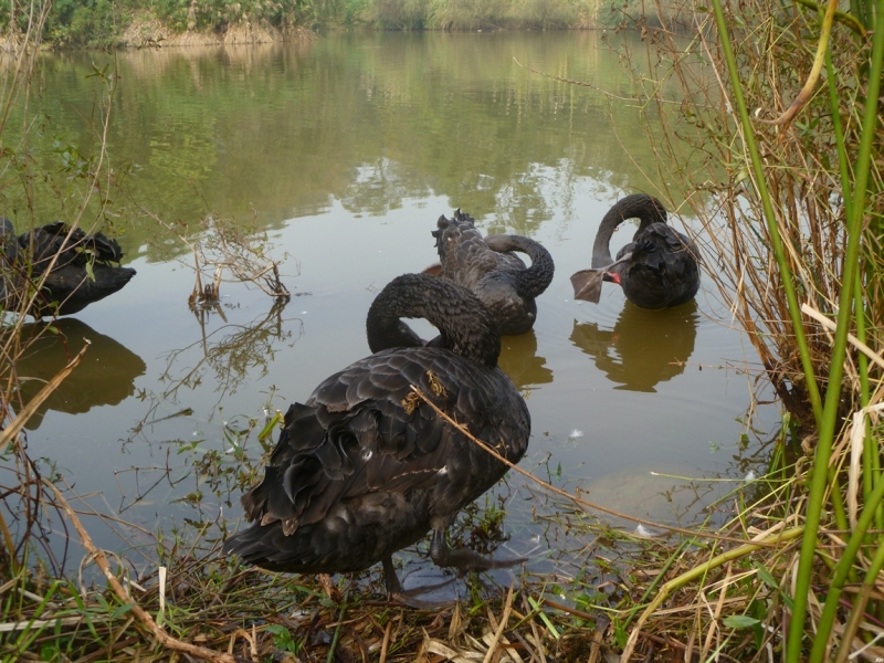 По краешку Китая. Ноябрь 2016