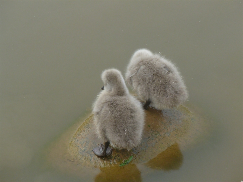 По краешку Китая. Ноябрь 2016