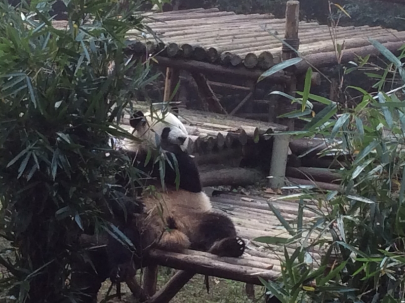 По краешку Китая. Ноябрь 2016