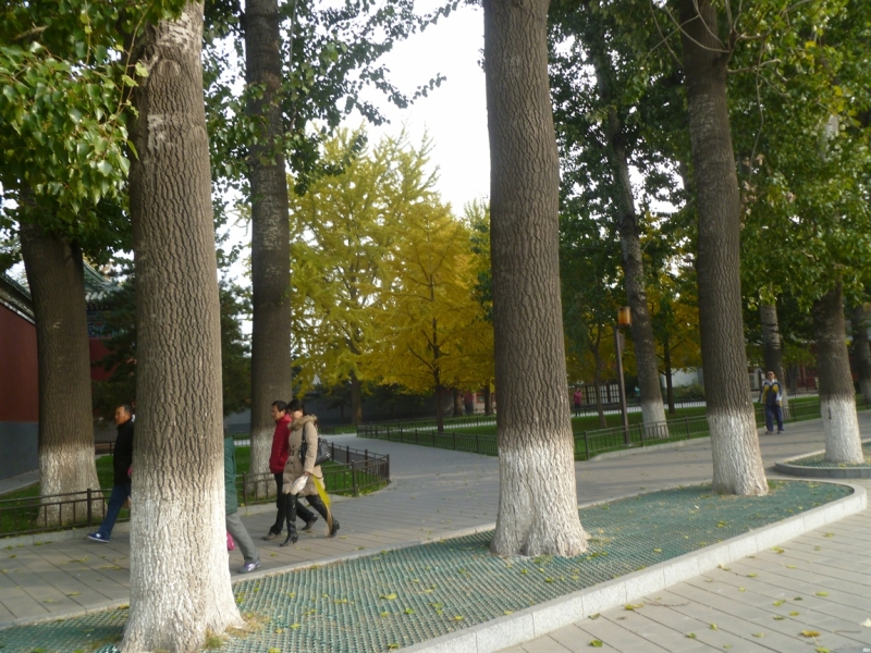 По краешку Китая. Ноябрь 2016