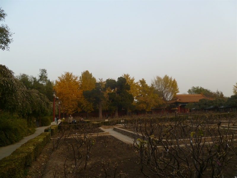 По краешку Китая. Ноябрь 2016