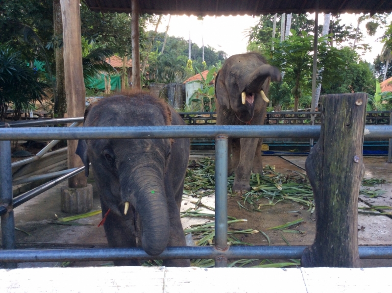 По краешку Китая. Ноябрь 2016