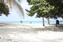 О воплощении мечты в реальность. Как это было...(+фото)