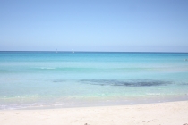 О воплощении мечты в реальность. Как это было...(+фото)