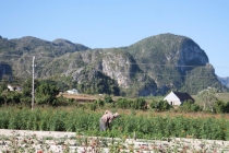 О воплощении мечты в реальность. Как это было...(+фото)