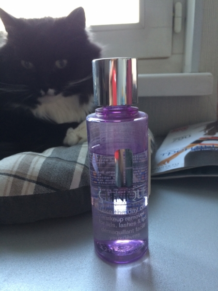 Поговорим о кошках 42