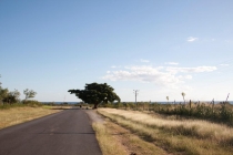 О воплощении мечты в реальность. Как это было...(+фото)