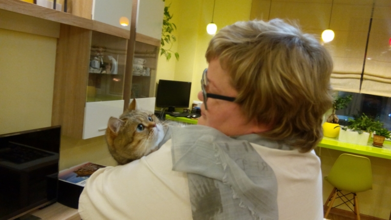 Поговорим о кошках 42