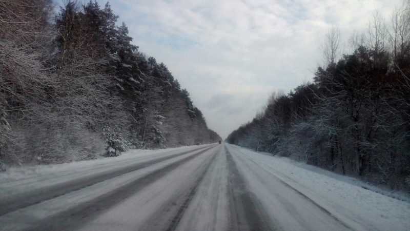 Дорога М10 Гомель - Мозырь - Пинск - Домачево: состояние, достопримечательности